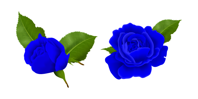 Blue Roses