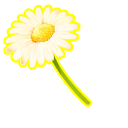 Bouquet of Daisies pointer