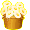 Bouquet of Daisies cursor