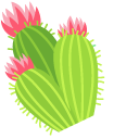 Cactus Flower pointer