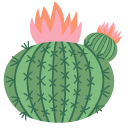 Cactus Flower cursor