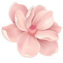 Cherry Blossom cursor