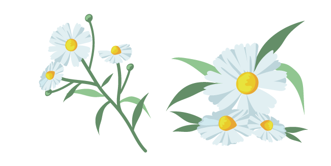 Daisies