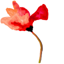 Hand Painted Poppy Flower pointer