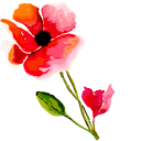 Hand Painted Poppy Flower cursor