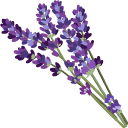 Lavender and Wildflowers pointer
