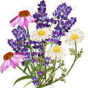 Lavender and Wildflowers cursor