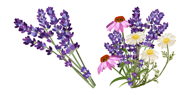 Lavender and Wildflowers