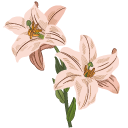 Lilies cursor