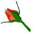 Orange Roses pointer