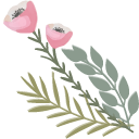 Pink Anemone Flower pointer