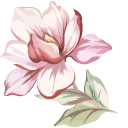 Pink Magnolia cursor
