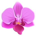 Pink Orchid cursor