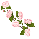 Pink Roses pointer