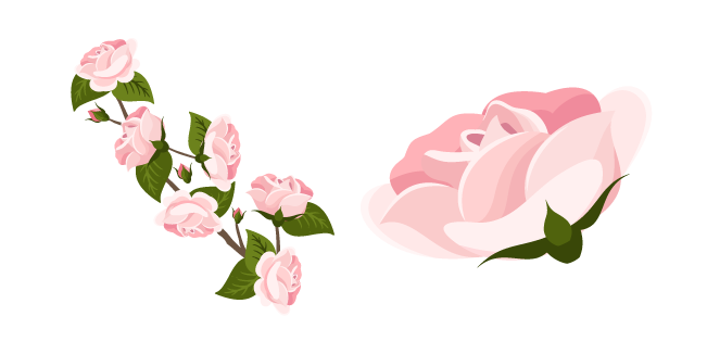 Pink Roses