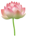 Pink Water Lily cursor