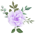Purple Rose pointer