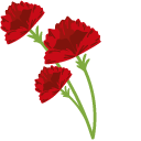 Red Сarnation pointer