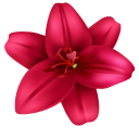 Red Lily cursor