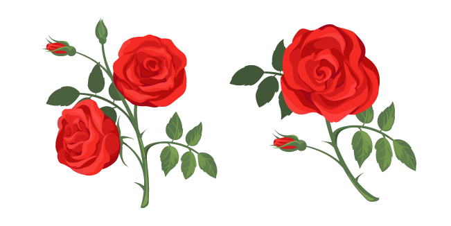 Red Roses