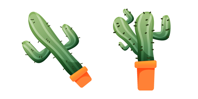 Saguaro Cactus