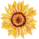 Sunflower cursor