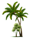 Tropical Palm Trees pointer