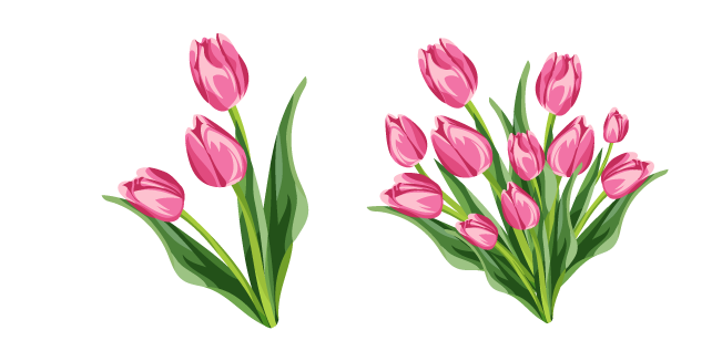 Tulips
