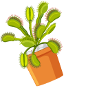 Venus Flytrap pointer