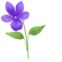 Viola Flower pointer