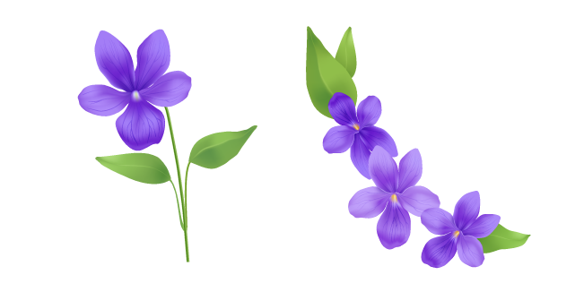 Viola Flower