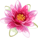 Water Lily cursor