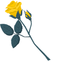 Yellow Roses pointer