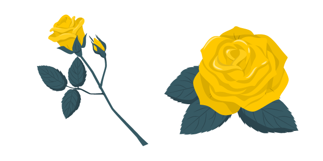 Yellow Roses