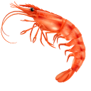 Cooked Shrimp pointer