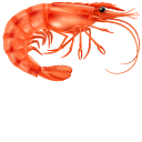 Cooked Shrimp cursor