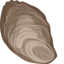 Oyster pointer