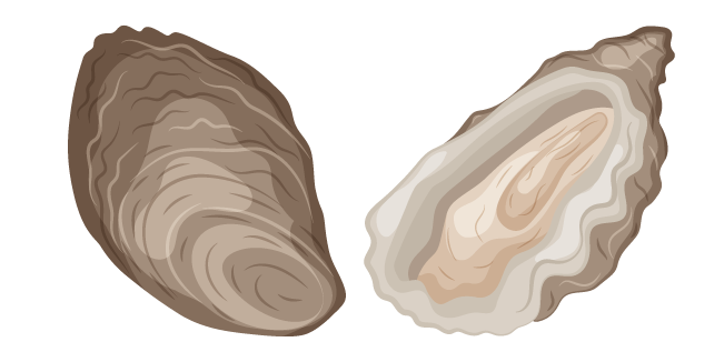 Oyster