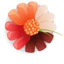 Sashimi cursor