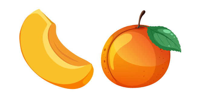 Apricot Fruit