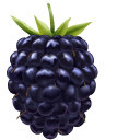 Blackberry cursor