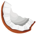 Brown Coconut pointer