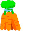 Carrot cursor