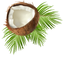 Coconut on Palm Leaves pointer