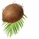 Coconut on Palm Leaves cursor