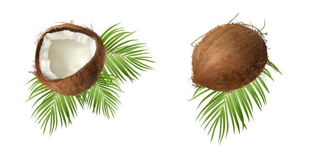 Coconut on Palm Leaves