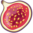 Fig Fruit pointer