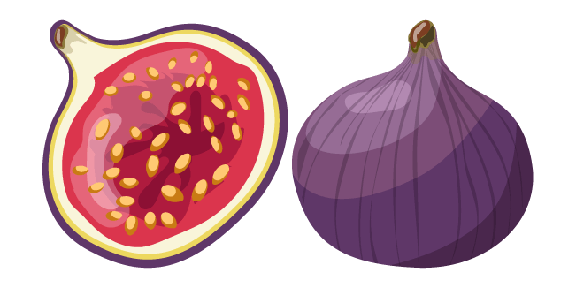 Fig Fruit