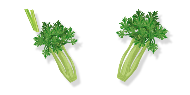 Green Celery