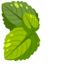 Green Mint Leaves pointer
